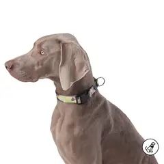 TOTTO - Collar Ajustable Para Perro Mylu Café L