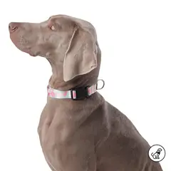 TOTTO - Collar Ajustable Mylu Para Perro Blanco L