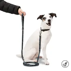 TOTTO - Correa Odye Para Mascota Azul