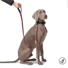 TOTTO - Correa Para Perro Sencilla Odye L Roja