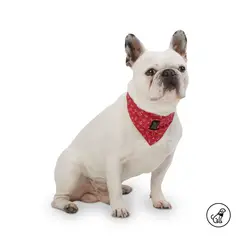 TOTTO - Pañuelo Doble Faz Para Mascota Rojo S