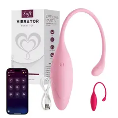 GENERICO - Vibrador Huevo Inalambrico Larga Distancia App Recargable