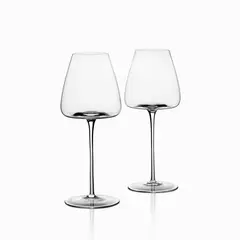 AMBIENTE GOURMET - Copa ovni en cristal 500ml set x 2