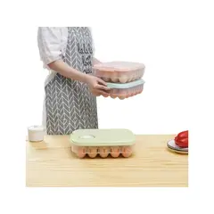 GENERICO - Organizador de Huevos 20