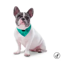 TOTTO - Pañuelo Menta Doble Faz 2.0 Azul S