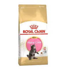 ROYAL CANIN - Maine Coon Gato Cachorro 4 kg