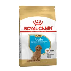 ROYAL CANIN - Poodle Perro Cachorro 3 kg