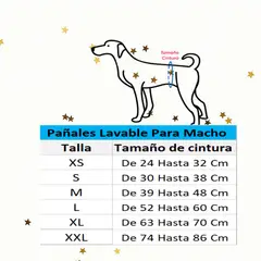 HALLY PET - Pañal Lavable Macho Talla S por 3 Und Gris