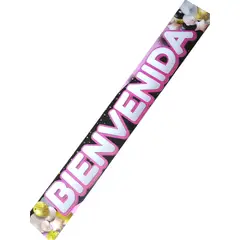 GENERICO - Banner Doble Letrero Bienvenida Fiesta Decoracion Fucsia