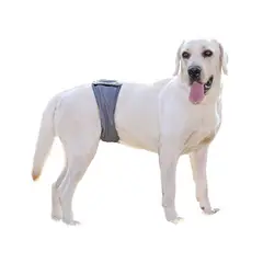 HALLY PET - Pañal Lavable Macho Talla M por 3 Und Gris