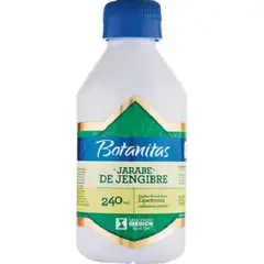 GENERICO - SUPLEMENTO JARABE DE JENGIBRE X 240 ML.
