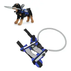 GENERICO - Collar Anillo Arnes Perro Ciego Pequeño Azul