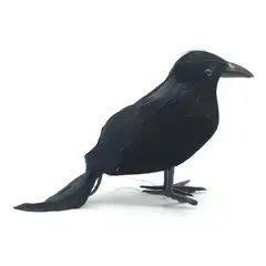 GENERICO - Cuervo Espantapájaros Palomas