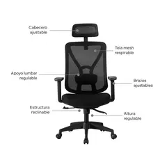 ERGONOMUS - Silla de Oficina Parma Presidente Color Negro