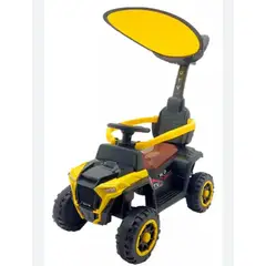 BEBESUNITA - Carro Paseador con control remoto grande