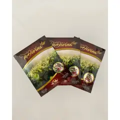 VIDA DIVINA - TE DIVINA │ 3 SOBRE (21 DIAS)