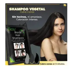 GENERICO - Shampoo Tinte Instantaneo Cubre Canas Color Negro