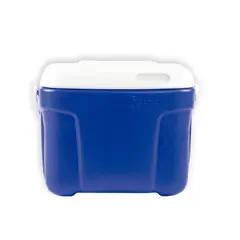 COLPLAST - Nevera 8 Litros Camping Colplast.