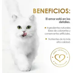 PURINA - Alimento Gato Fancy Feast Estofado Salmon y Atún 85gr