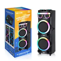 GENERICO - Parlante De Sonido Torre Ndr-21280 Con Micrófonos Y Control