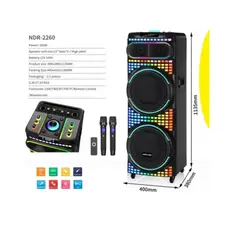 GENERICO - Parlante De Sonido Torre Ndr-2260 Con Micrófonos Y Control