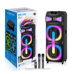 GENERICO - Parlante De Sonido Torre Ndr-2250 Con Micrófonos Y Control