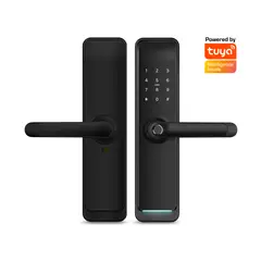 GENERICO - Cerradura Inteligente App Tuya P02 2409-1