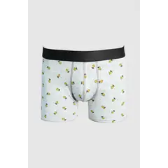 KOAJ - Bóxer medio en algodón con diseño all over Snoopy, lice Hombre