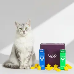 LULOPET - DÚO TRANQUILIDAD CAT - RELAJANTE Y ENTRENADOR PARA GATOS