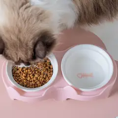 GENERICO - Plato Comedero Bebedero En Ceramica Elevado Inclinado Gato