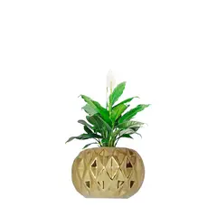 RENOVEMOS - MATERA CERAMICA ROMBOS