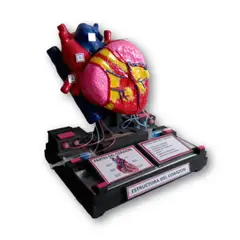 GENERICO - Maquetas del corazón para cotización