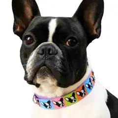 GENERICO - Collar para Perro Estilo Carita Bulldog Talla S Color Azul