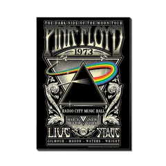 PRINTKING - Cuadro Pink Floyd The Dark Side of the Moon 30x42cm A3 Afiche Póster