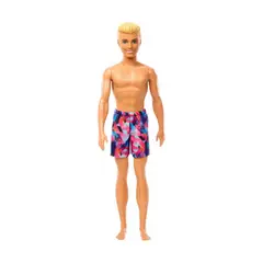 MATTEL - Barbie Ken en la Playa