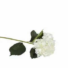 AMBIENTE LIVING - Hortensia blanca