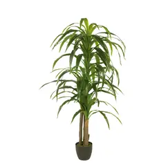 AMBIENTE LIVING - Yuca Artificial 180 cm