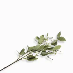 AMBIENTE LIVING - Spray de Eucalipto