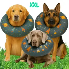 GENERICO - Collar Médico para Perros y Gatos Recuperación Segura XXL