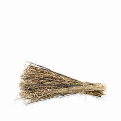 AMBIENTE LIVING - Racimo coco nucifera