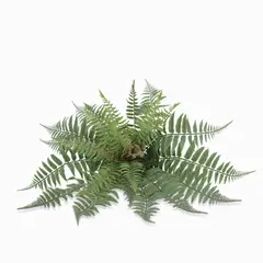 AMBIENTE LIVING - Helecho Florecido 47cm