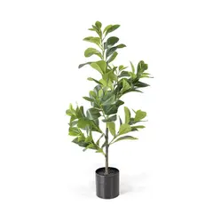 AMBIENTE LIVING - Peperomia Artificial 80cm