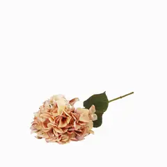AMBIENTE LIVING - Hortensia Durazno