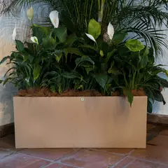 FORA DESIGN - Matera de plástico Argo Lisa tamaño mediano color arena