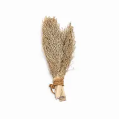 AMBIENTE LIVING - Racimo Khejur