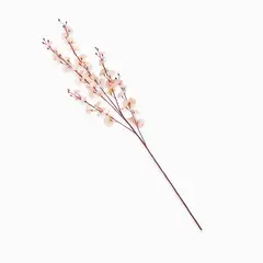 AMBIENTE LIVING - Orquídea Danzante Rosada