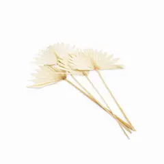 AMBIENTE LIVING - Hoja de palma blanquiada