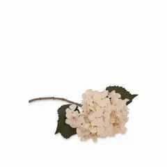 AMBIENTE LIVING - Hortensia crema