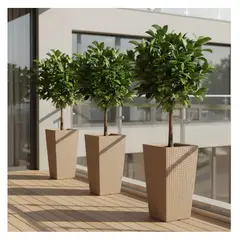 FORA DESIGN - Matera de plástico Gemello Rattan tamaño mediano color arena