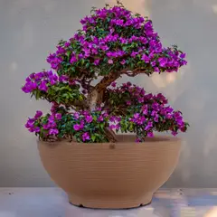 FORA DESIGN - Matera de plástico Puffy Texturizada Tamaño Grande Color Arena